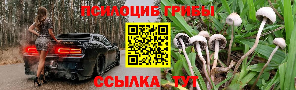 Псилоцибиновые грибы MAGIC MUSHROOMS Лангепас