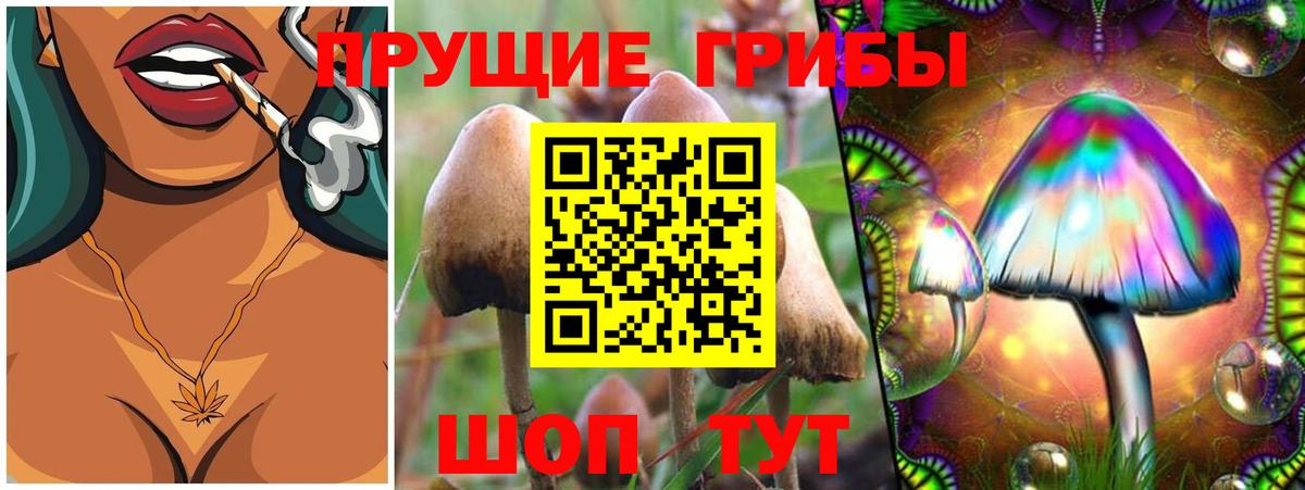 Галлюциногенные грибы мицелий  Вход с VPN  Галлюциногенные грибы Psilocybine cubensis  Лангепас 