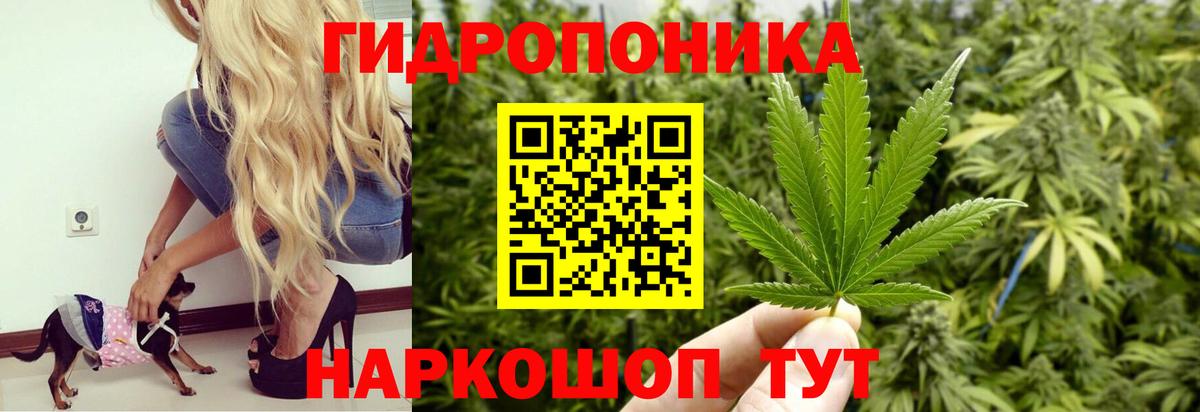 МАРИХУАНА план  Шишки марихуана White Widow  Лангепас  МАРИХУАНА гибрид  Канабис VHQ  Вход с VPN 